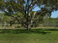 Hawks Nest Holiday Park - New Castle Tourism 3