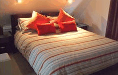 Melaleuca Mountain Chalets - New Castle Tourism 1