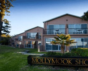 Mollymook Shores Motel - Newcastle Accommodation