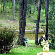 Gain Life Healing Health Retreat - Newcastle Accommodation 2