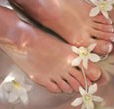 Orchid Day Spa - Newcastle Accommodation