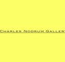 Charles Nodrum Gallery - Newcastle Accommodation