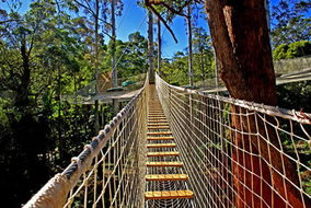 Book North Tamborine QLD Attractions Newcastle Accommodation Newcastle Accommodation