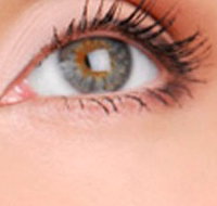 Cinnamon Stix Hair  Day Spa - Newcastle Accommodation