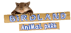 Birdland Animal Park - New Castle Tourism