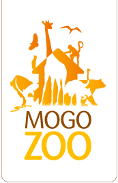 Mogo Zoo - New Castle Tourism