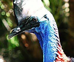 Northern Brisbane And Moreton Bay QLD New Castle Tourism