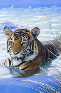  Newcastle Accommodation