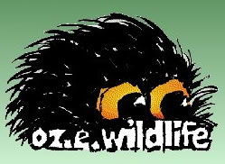 OZe Wildlife - New Castle Tourism 0