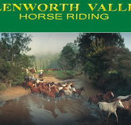 Glenworth Valley Horseriding - New Castle Tourism