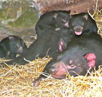 East Coast Natureworld - New Castle Tourism