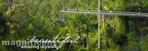 Rainforest Skywalk - New Castle Tourism 2