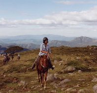 High Country Horses