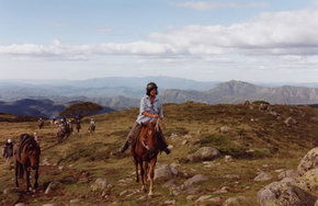 High Country Horses - New Castle Tourism 0