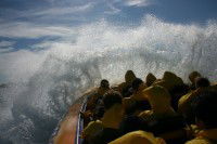 Jetboating Sydney - New Castle Tourism 1