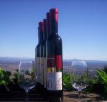 Mount Tamborine Winery  Homestead - New Castle Tourism