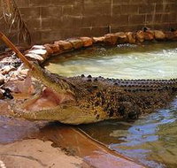 Wyndham Zoological Gardens and Crocodile Park - Newcastle Accommodation