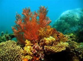 Exmouth WA Newcastle Accommodation