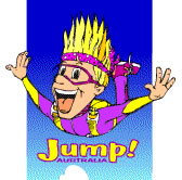 Aerial Skydiving - New Castle Tourism 0