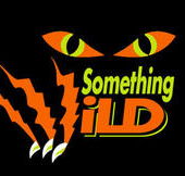 Something Wild - New Castle Tourism