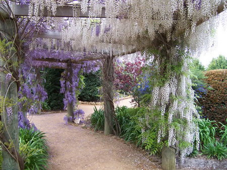 Abingdon Miniature Village - Newcastle Accommodation 0