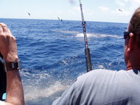 Downunder Charters - Newcastle Accommodation 3