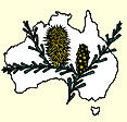 Australian National Botanic Gardens - New Castle Tourism