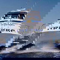 Noosa QLD Newcastle Accommodation