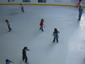 Liverpool Catholic Club Rink - New Castle Tourism 3