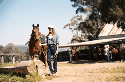 Watsons Trail Rides - Newcastle Accommodation 0