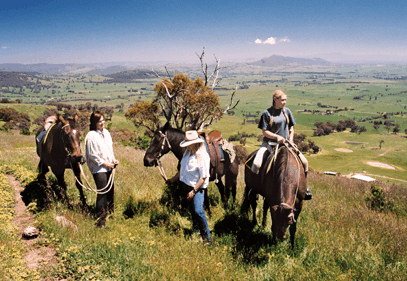 Watsons Trail Rides - Newcastle Accommodation 2