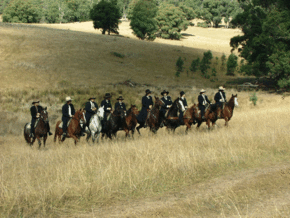 McCormacks Mountain Valley Trail Rides - Newcastle Accommodation 0