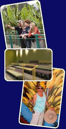 Big Banana - New Castle Tourism 2