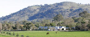 Blue Gum Farm - New Castle Tourism 1