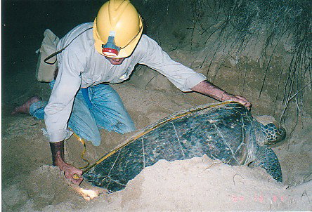 Footprints Adventures - Newcastle Accommodation 2