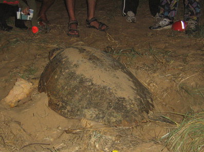 Footprints Adventures - Newcastle Accommodation 3