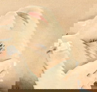 The Golden Door Spa  Health Club at Mirage Resort