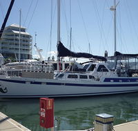 Coral Sea Dreaming Dive and Sail - Newcastle Accommodation