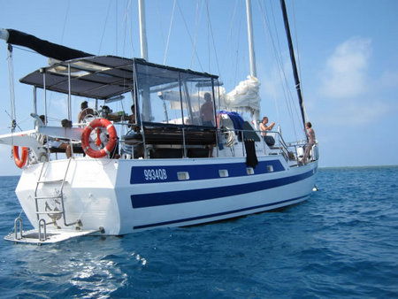 Coral Sea Dreaming Dive And Sail - New Castle Tourism 3