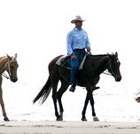 Ride the Beach - New Castle Tourism