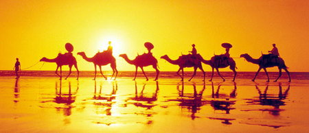 Banksia Adventures - Newcastle Accommodation 1