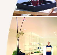 Lyall Hotel and Spa - Newcastle Accommodation