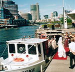 Bay  River Cruises - Newcastle Accommodation