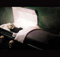 Coffin Ride - Newcastle Accommodation