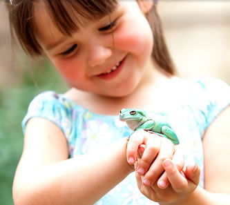 Reptile Encounters - New Castle Tourism 1