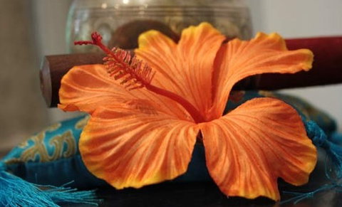 Annasha Day Spa Retreat - Newcastle Accommodation 5