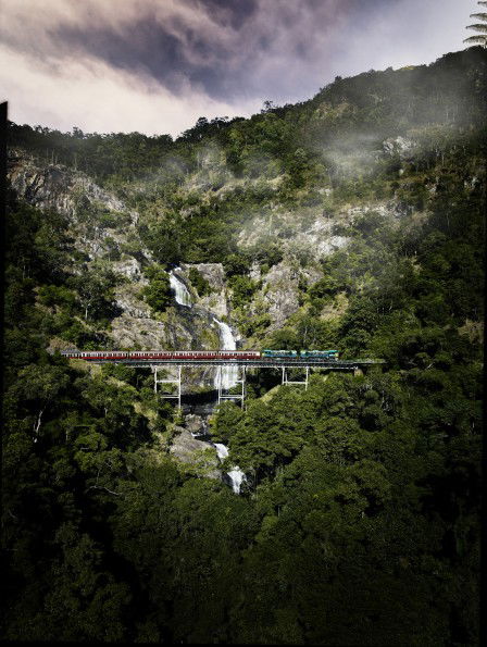 Kuranda Scenic Railway - Newcastle Accommodation 4
