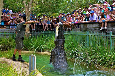 Australian Reptile Park - New Castle Tourism 4