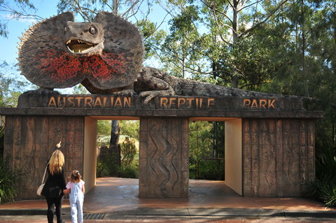 Australian Reptile Park - New Castle Tourism 5