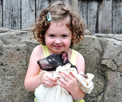 Australian Reptile Park - New Castle Tourism 8